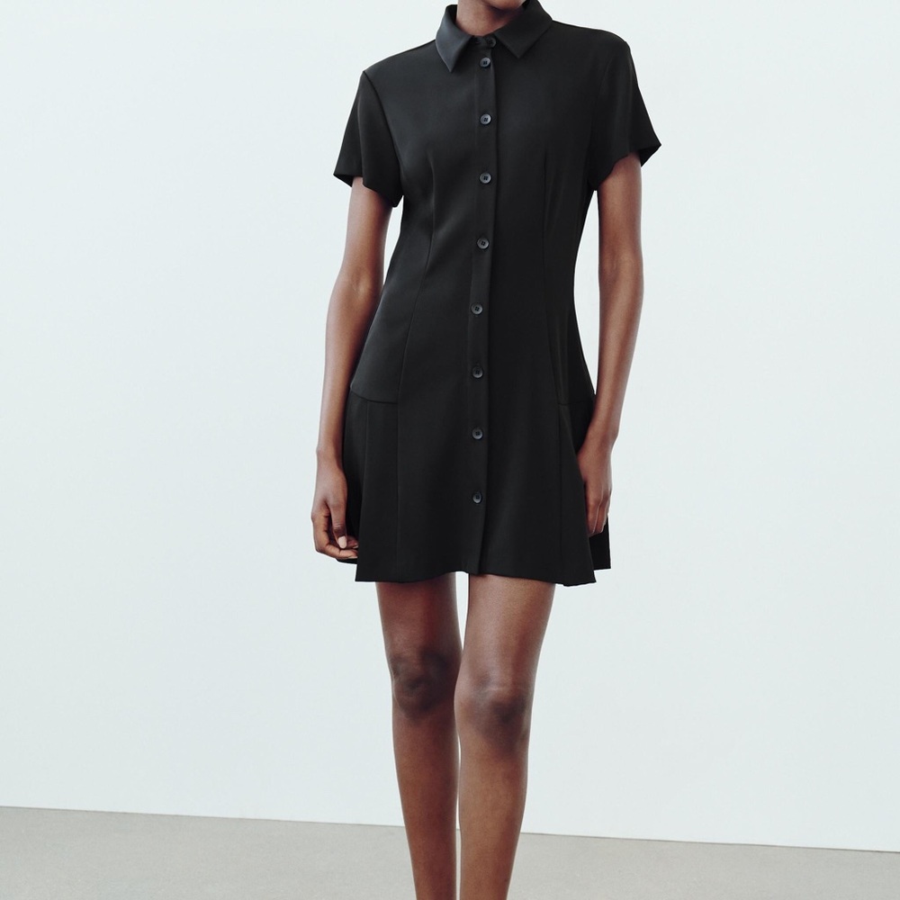Zara LBD, NWT, drop pleated waist